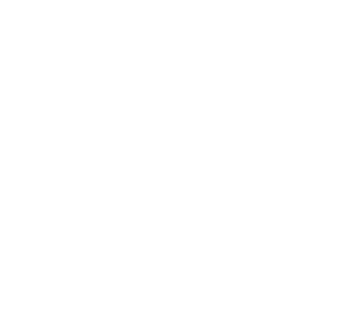 shopping basket