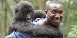 Documentary Virunga will be among the shows available at launch