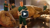 T.rex Autopsy