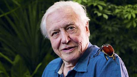 The BBC has revealed two David Attenborough programmes