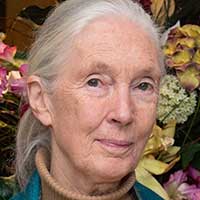 Chimpanzee expert Dr Jane Goodall