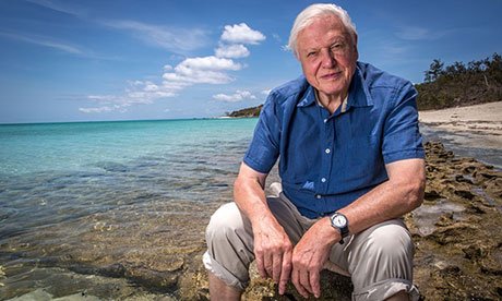 David Attenborough's BBC series on the Great Barrier Reef