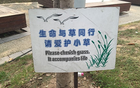 cherish grass a-sign-on-shanghais-waterfront-area
