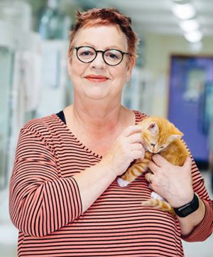 One-off special Kitten Rescuers with Jo Brand