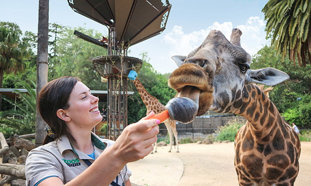 Animal Planet, TF1 visit Mega Zoo | News | C21Media