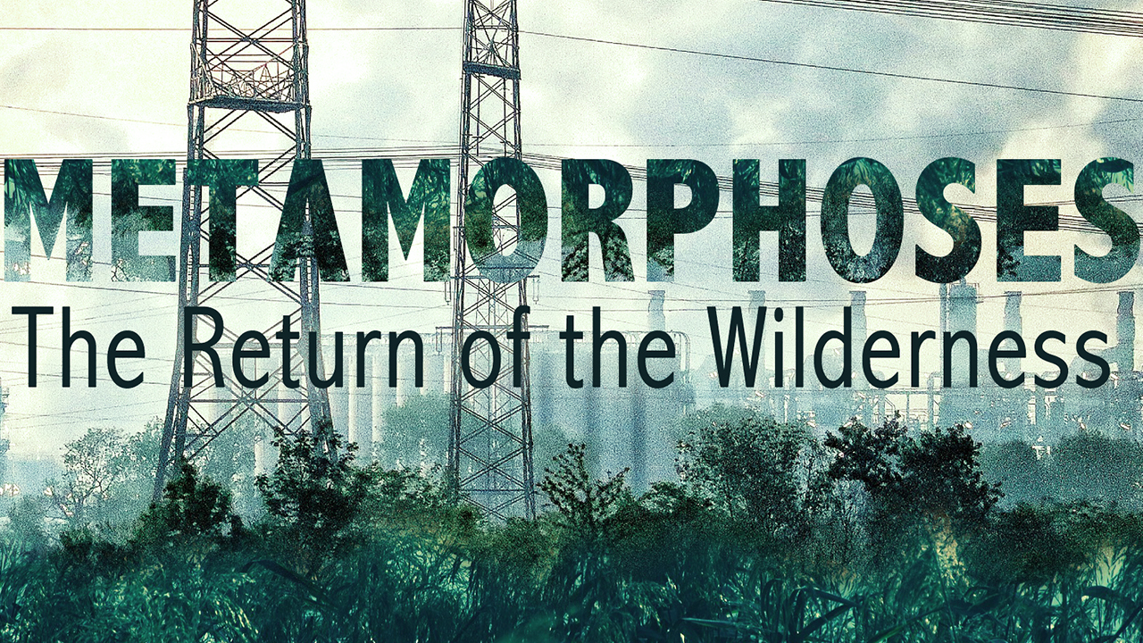 Metamorphoses – The Return of the Wilderness