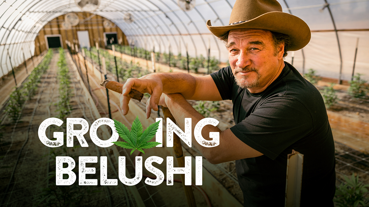 Growing Belushi Official Show Page