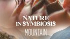 Nature in Symbiosis: The Mountain