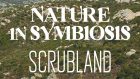 Nature in Symbiosis: The Scrubland