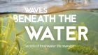 Waves Beneath The Water - Secrets of Fresh Water Life Revealed