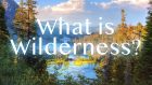What is Wilderness?