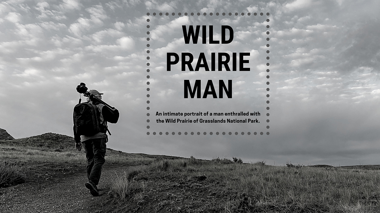 Wild Prairie Man