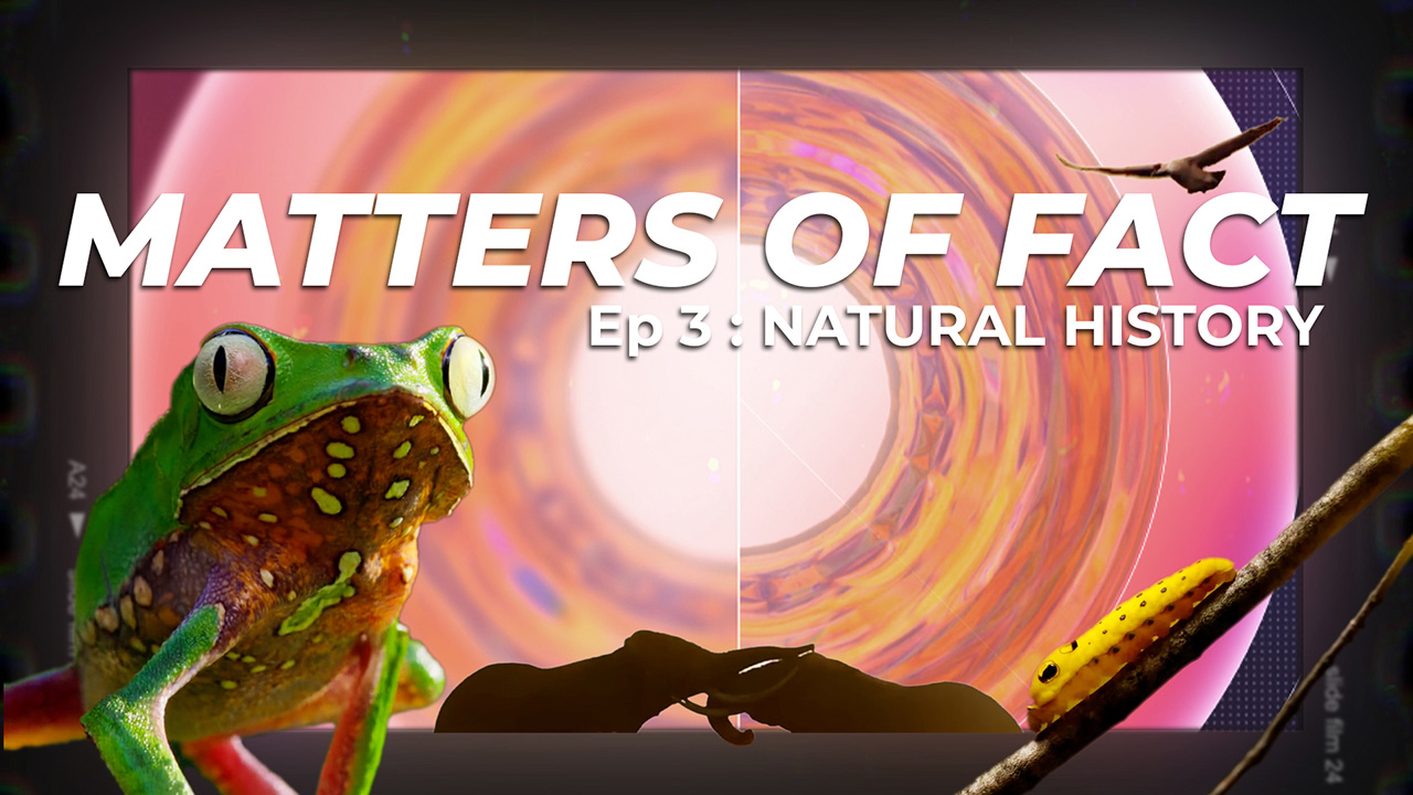 Matters of fact – pt3