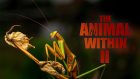 The Animal Within II