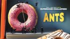 Ants