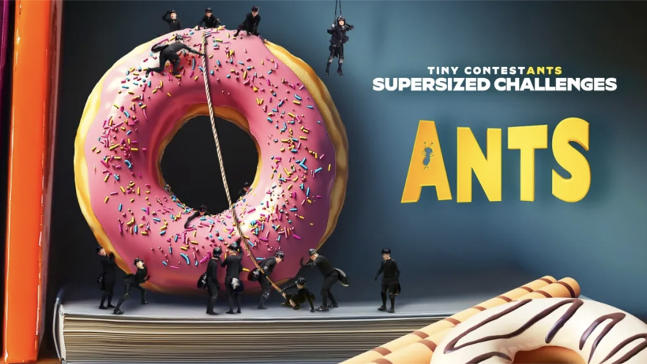 Ants | International Format Awards 2025 - Finalists Showcase