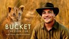 BUCKET: THE LION CUB