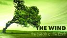 WIND, the breath of the Earth