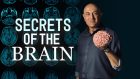 Secrets of the Brain with Jim Al Khalili