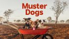 Muster Dogs Season 4