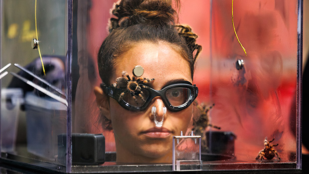 TV 2 revives Fear Factor format in Denmark