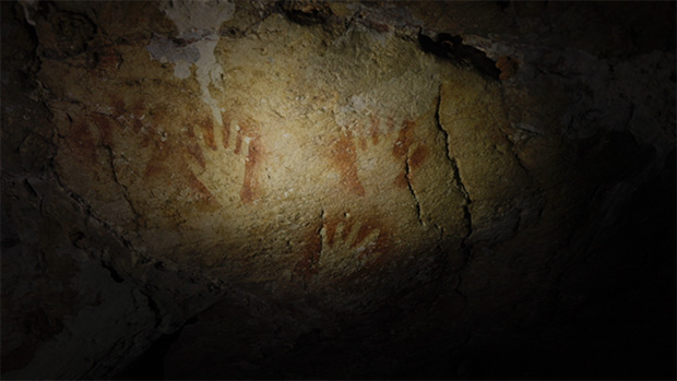 ZED shops science doc Sulawesi, A New Origin Story