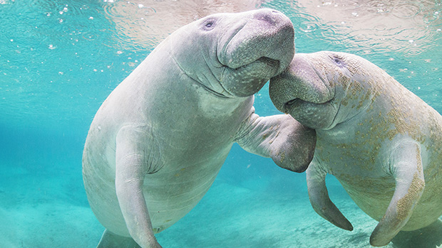 National Geographic, RTVE among buyers for factual at Germany’s Autentic