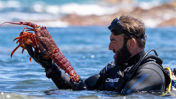 Foxtel partners Mew Productions to prepare Deadliest Dinners with Mario Kalpou