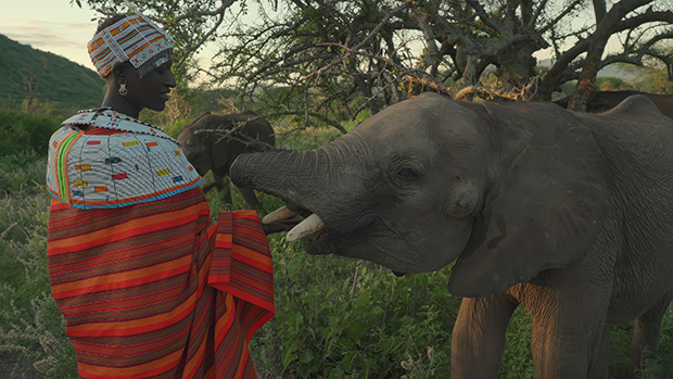 PBS joins forces with financier ITVS to launch doc-focused YouTube channel