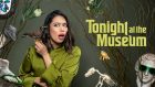 Tonight At The Museum Season 1