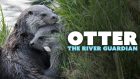 Otter – The River Guardian