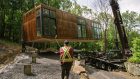 Wild Homes