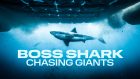 Pic1