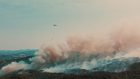  From Ashes