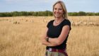 The Land that Made Us with Alice Roberts