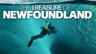 The Treasure of Newfoundland