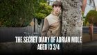 Pic1