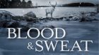 Blood & Sweat