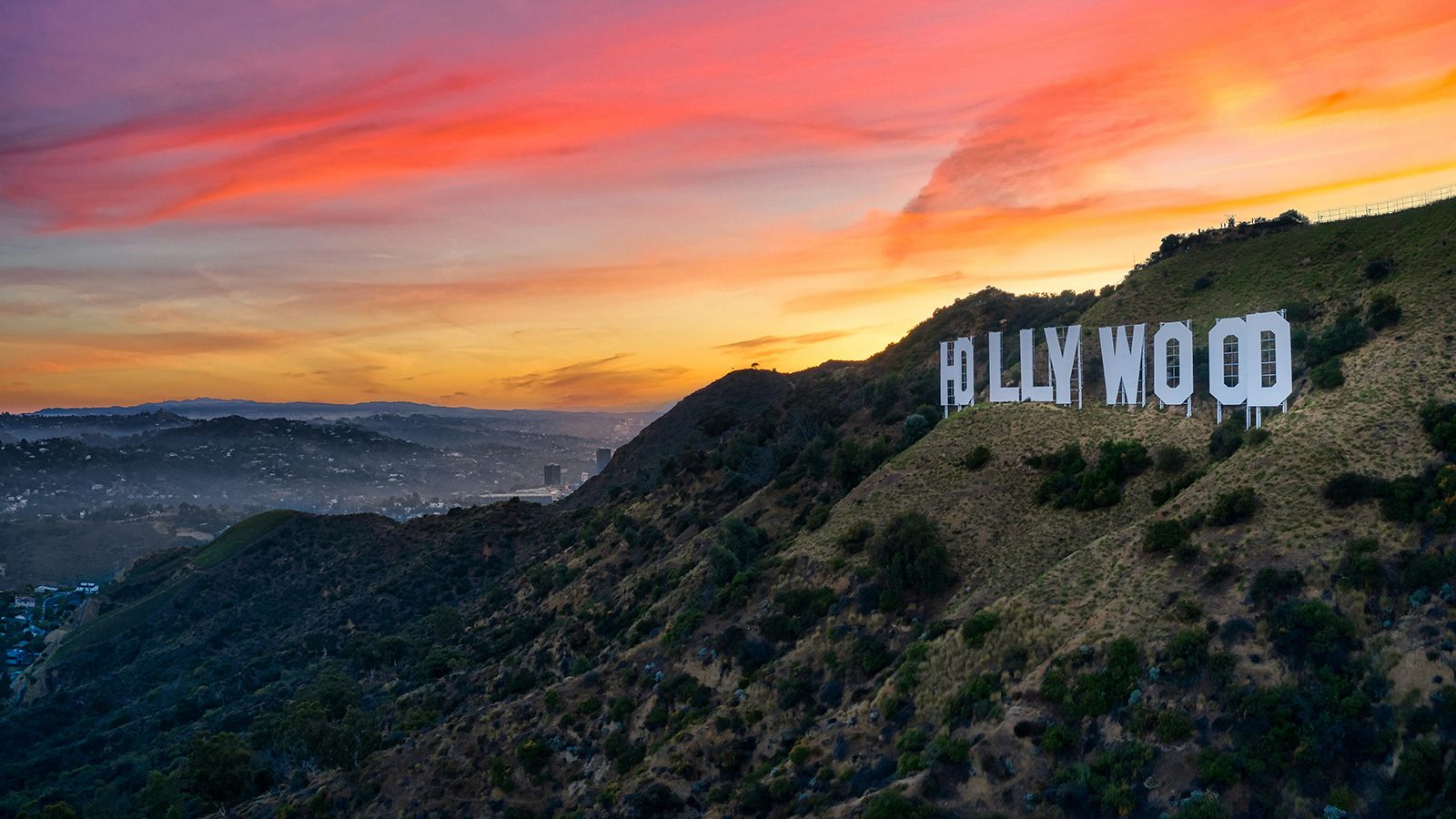 (Photo: Venti Views on Unsplash